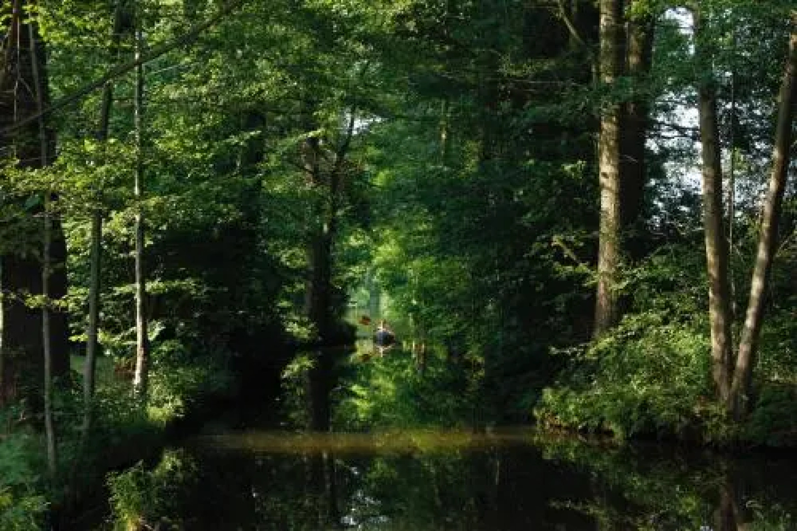 Ferienwohnungen direkt am Wasser