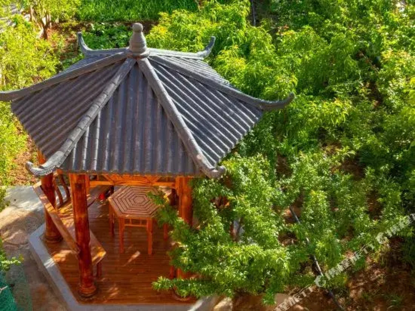 Shapotou Xinsha Framstay