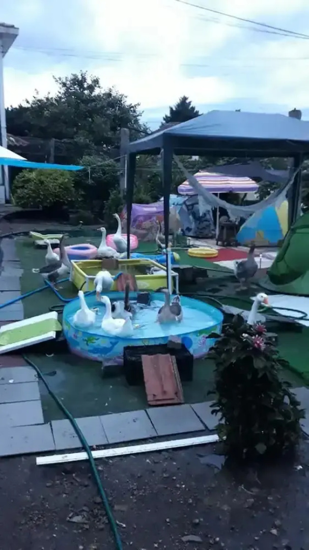 House with 3 Bedrooms in Paços de Ferreira, with Enclosed Garden And Wifi - 35 Km From the Beach