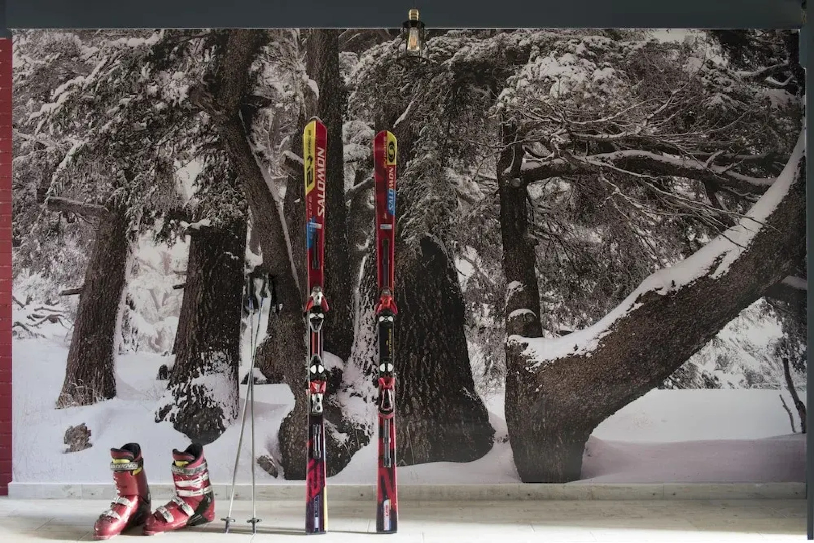 La Maison des Cèdres