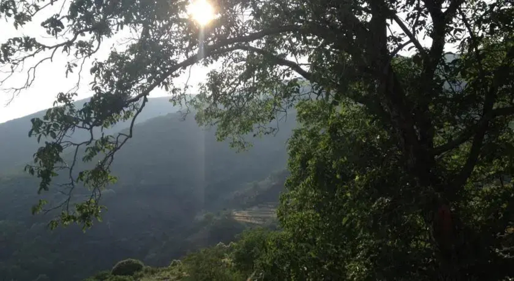 Apartamentos Torremenguada