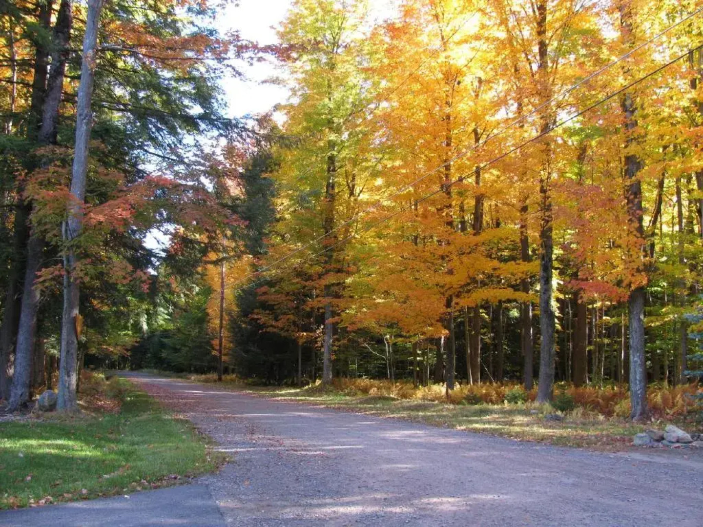 Sullivan Trail Inn & Suites