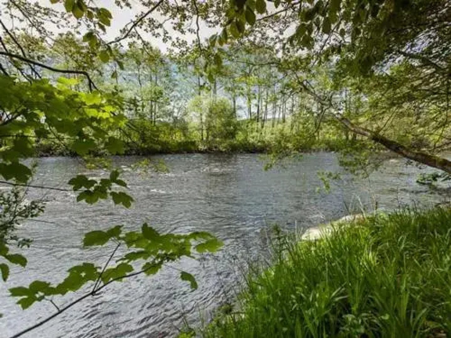 Greystead Old Church