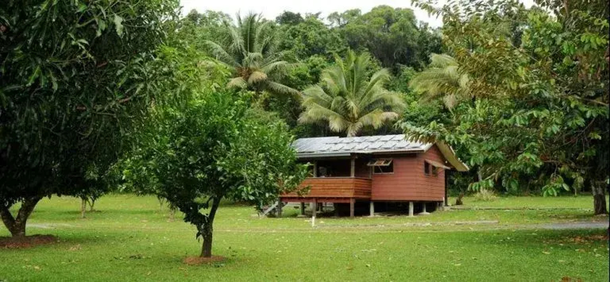 Daintree Rainforest Bungalows