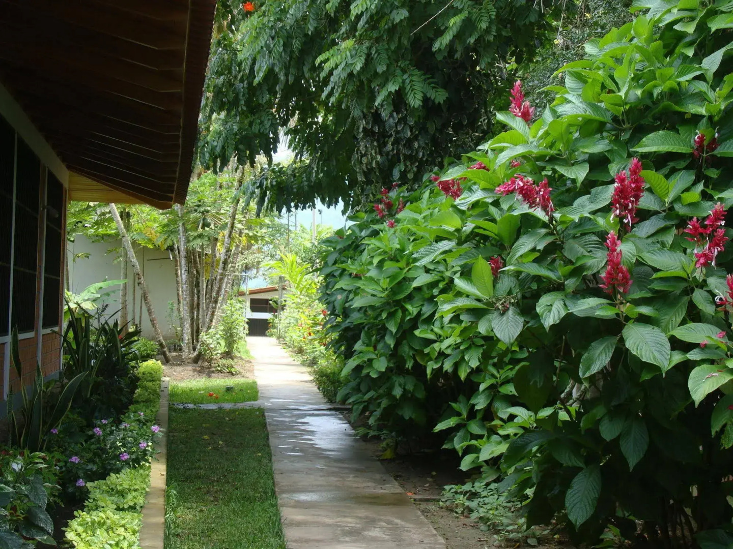 Altavista Casahotel - Asociado Casa Andina