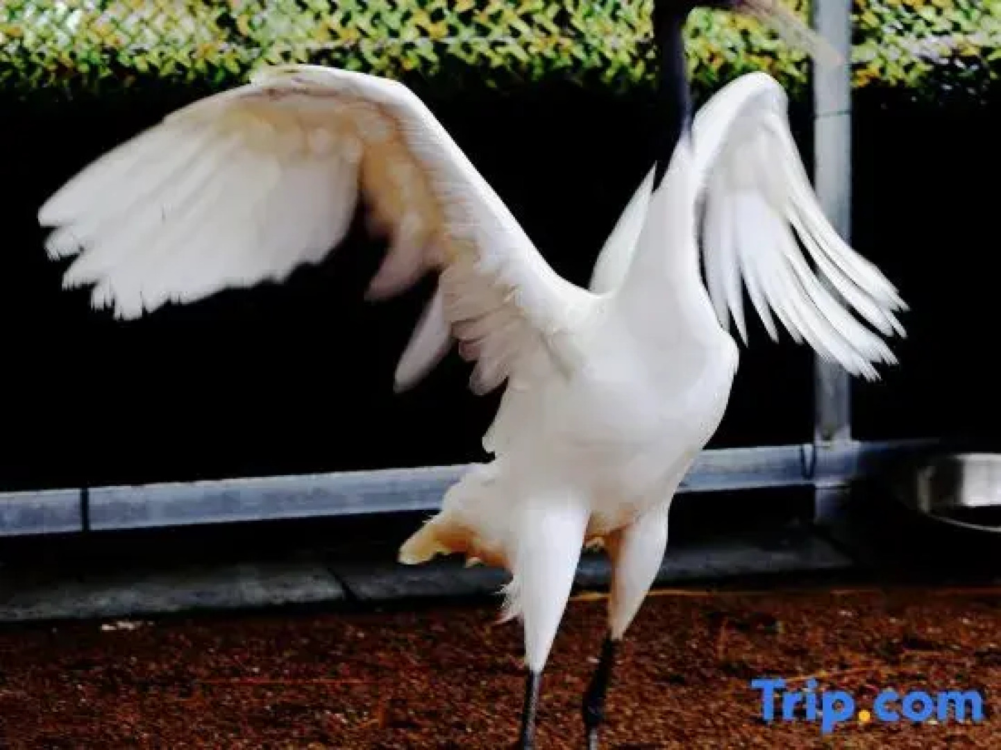 Tiantai Hot Spring Resort