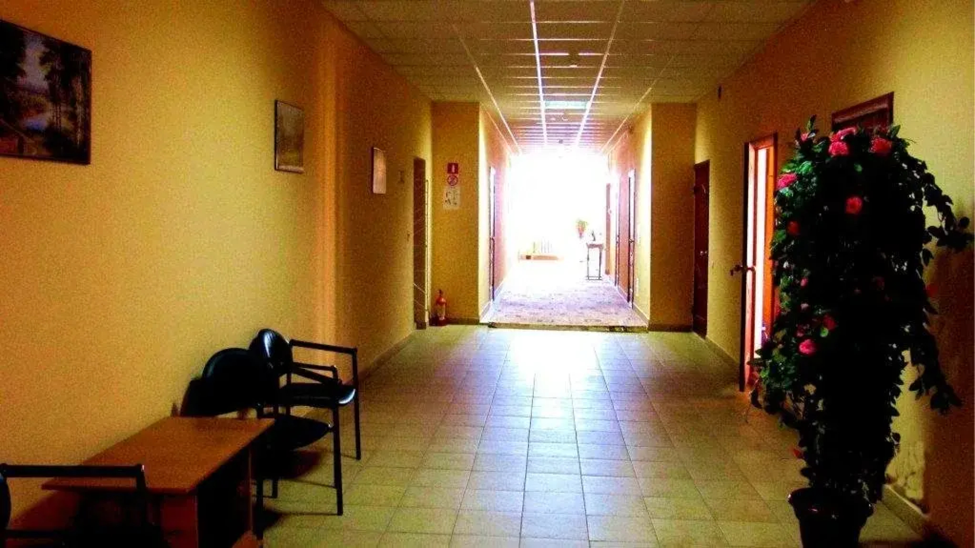 Profilaktoriy Letnogo Sostava Dva Kryla