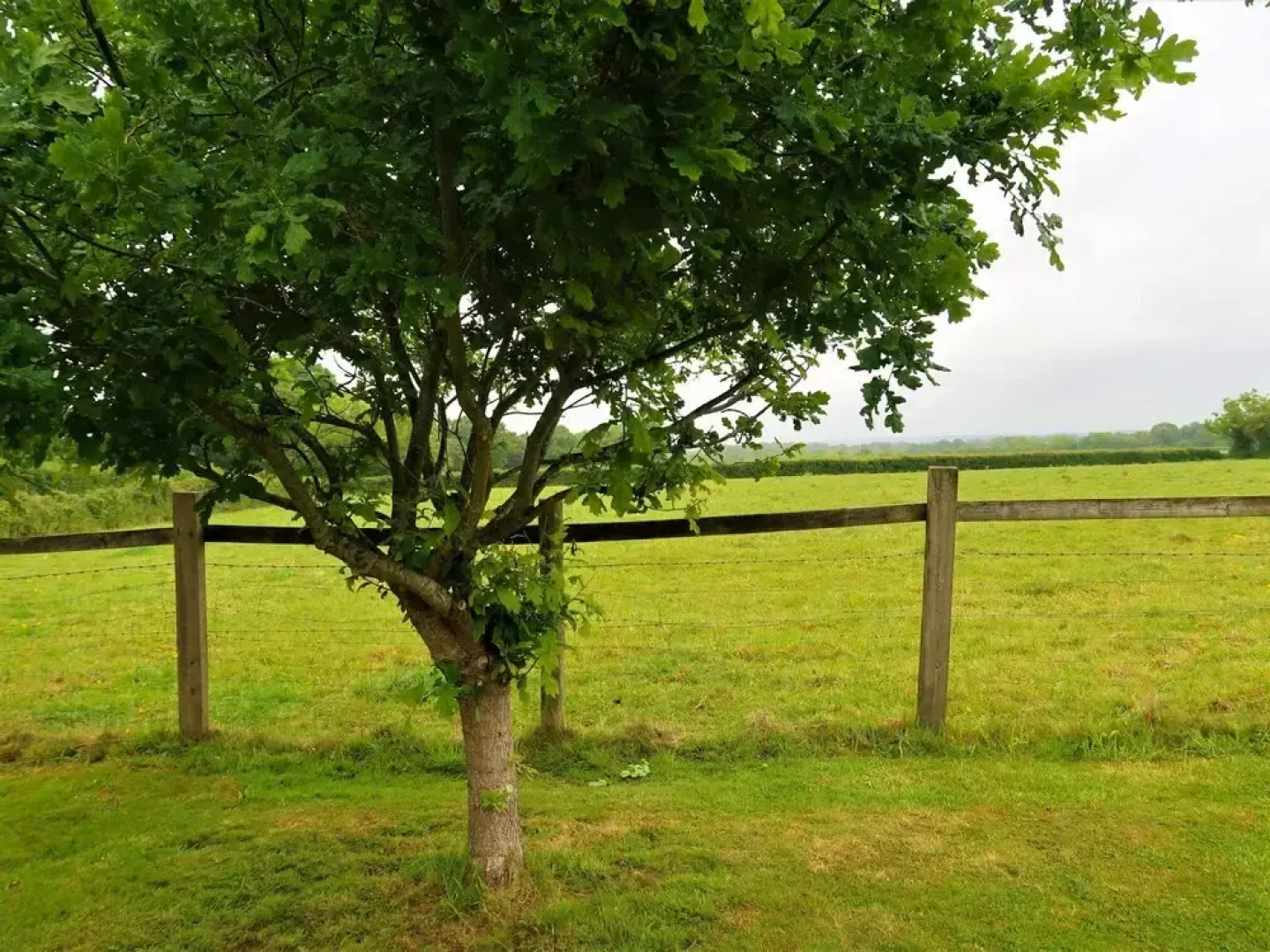 Woodhouse Woodmancote