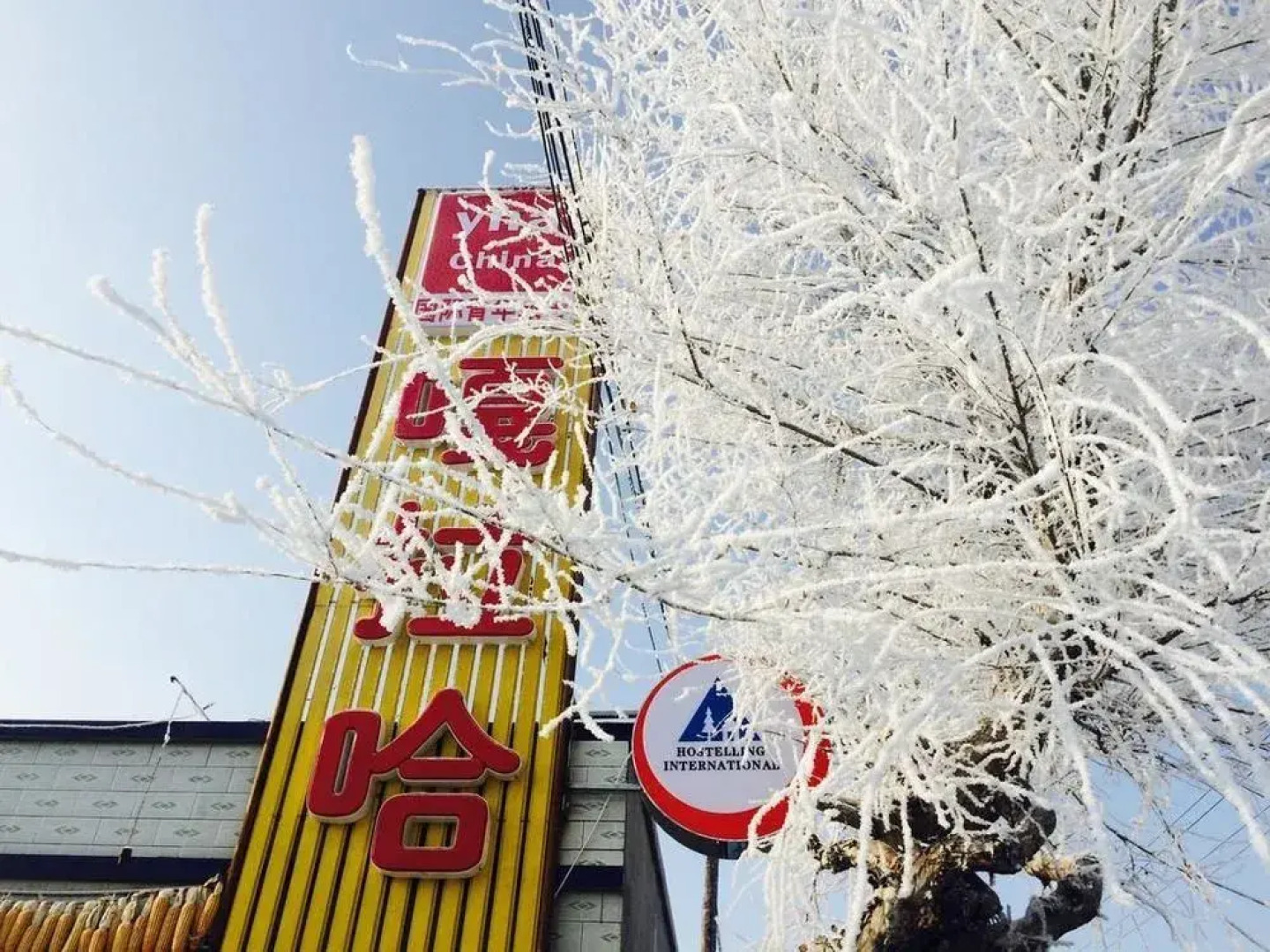 Galaha Int'l Youth Hostel JL Rime Island