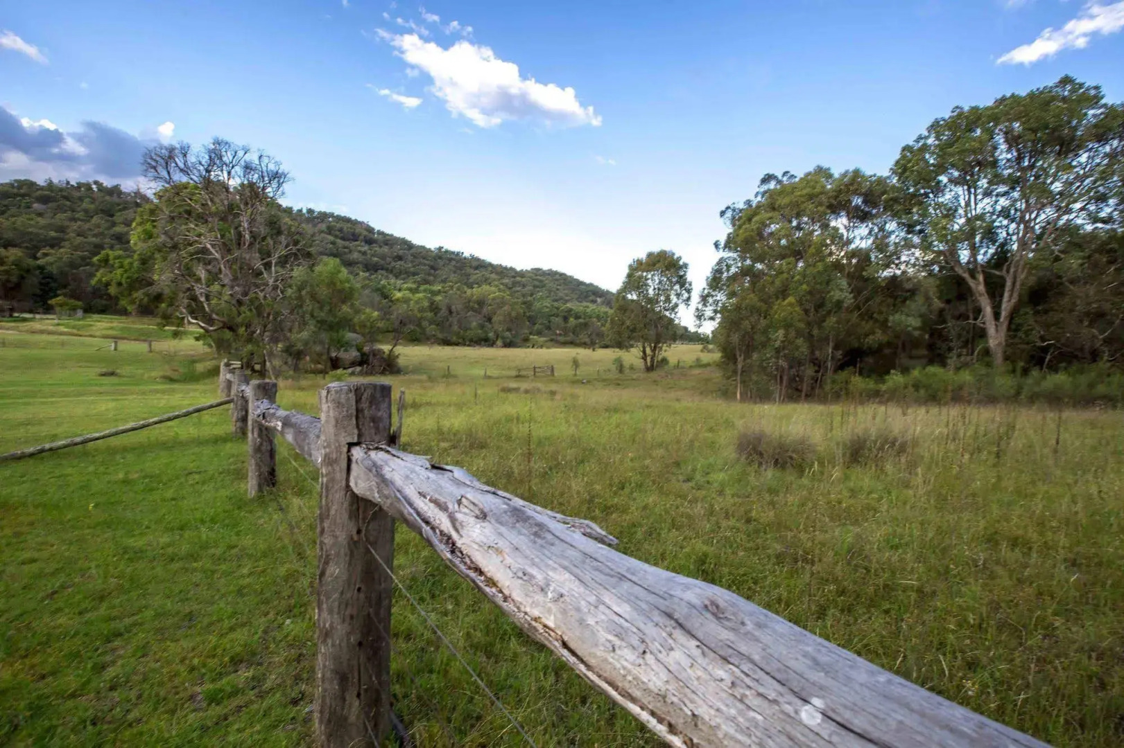 Wisteria Cottage and Cabins