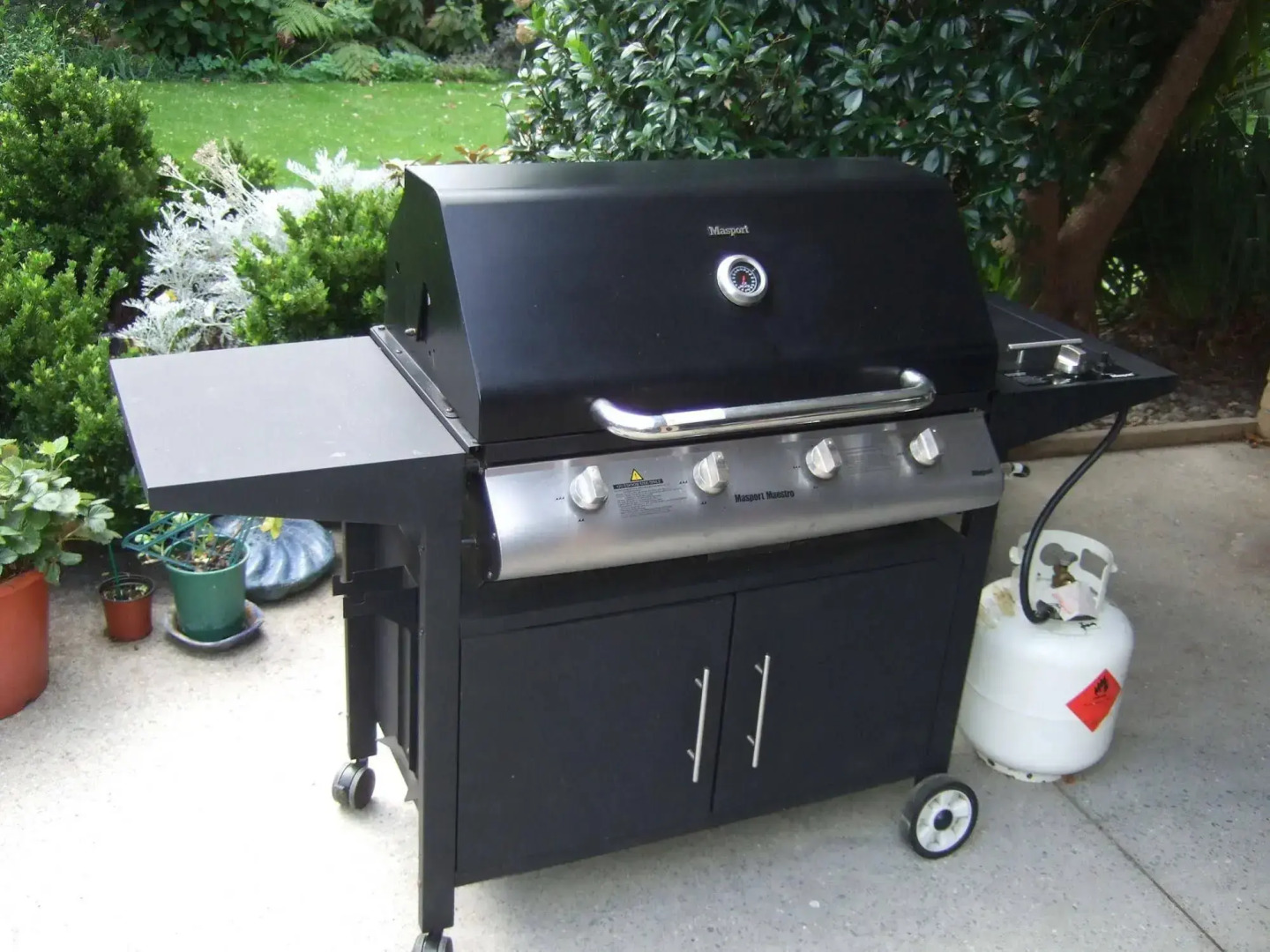 Jade Owl Bed and Breakfast