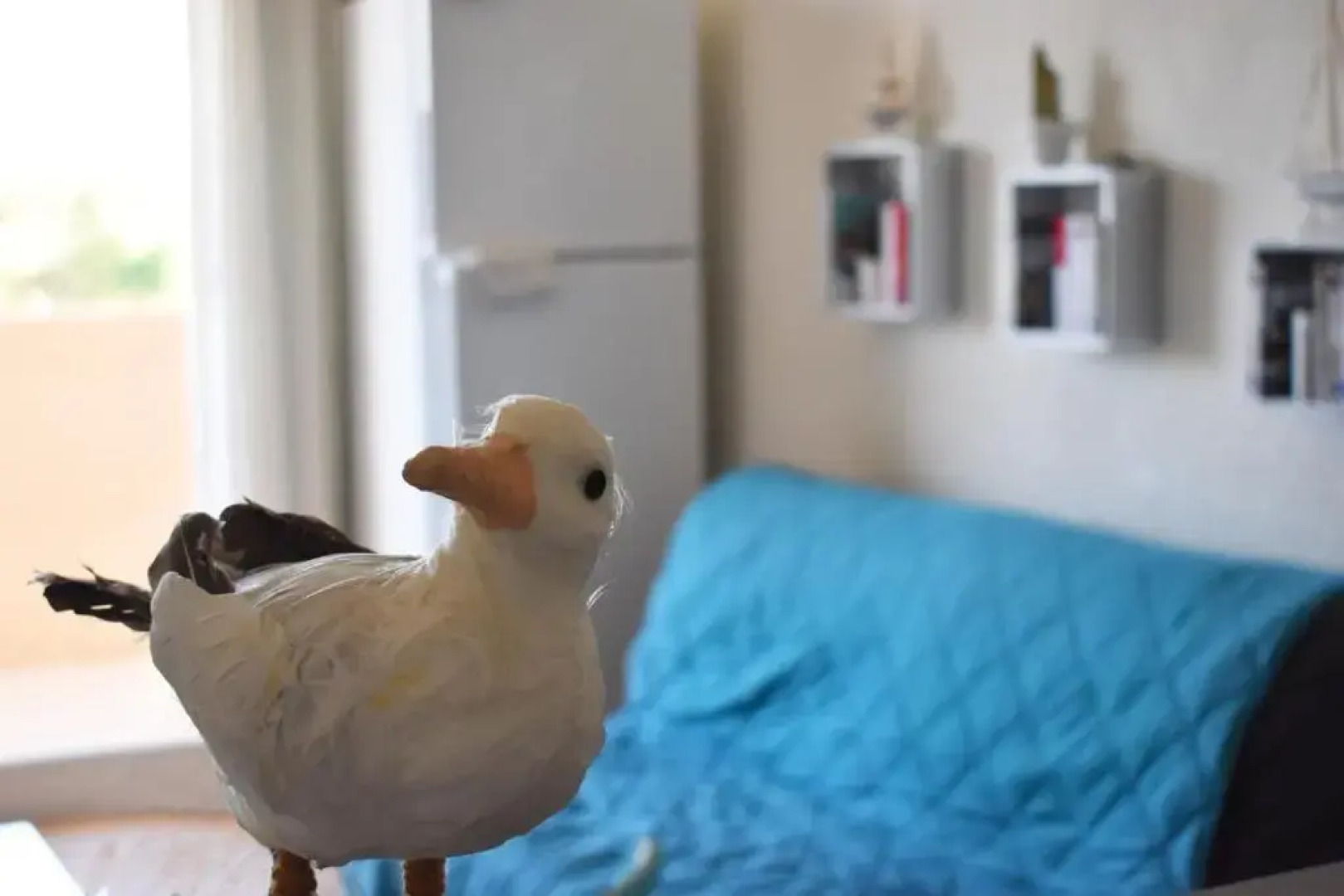 Une mouette au village de la Mer avec piscine pour 4 personne