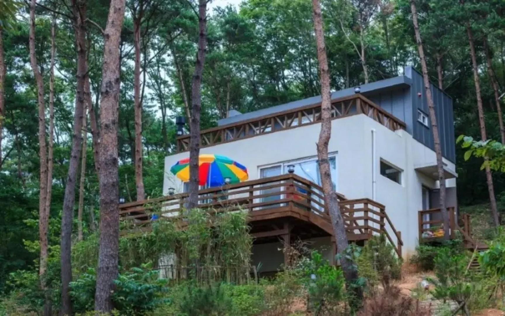Taean Pine Wealth Pension