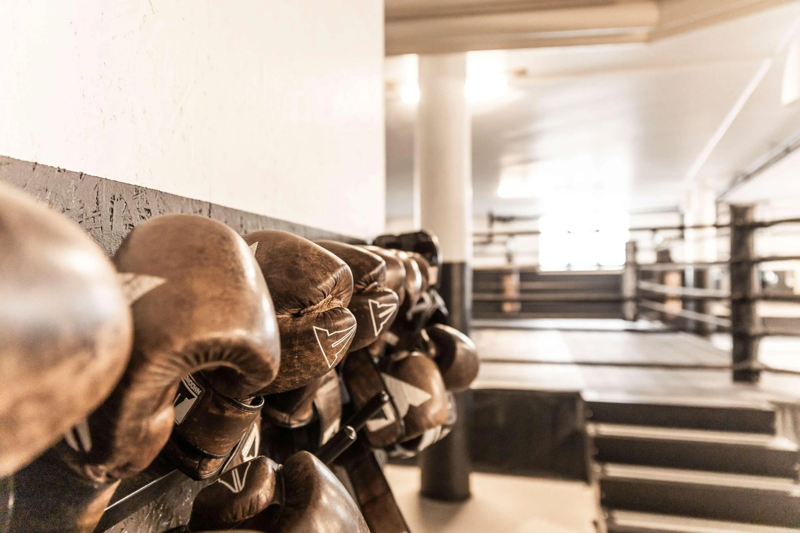 Hagastrand, Autograph Collection