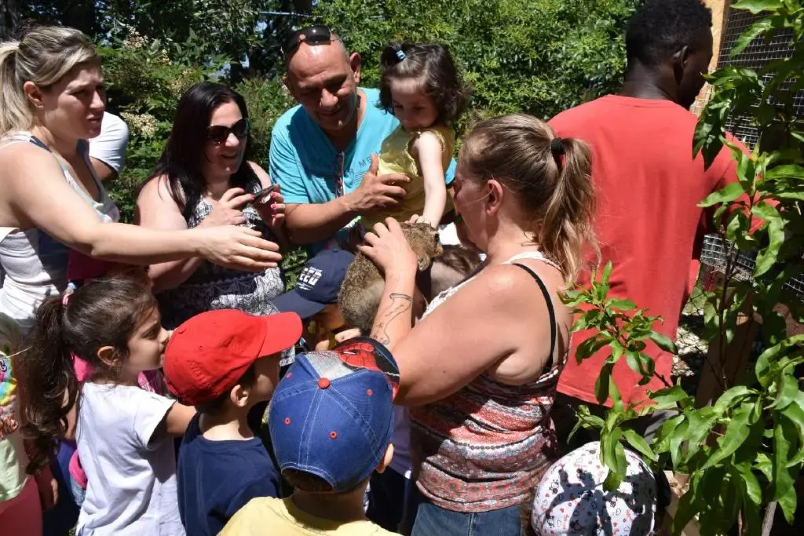 fattoria country village