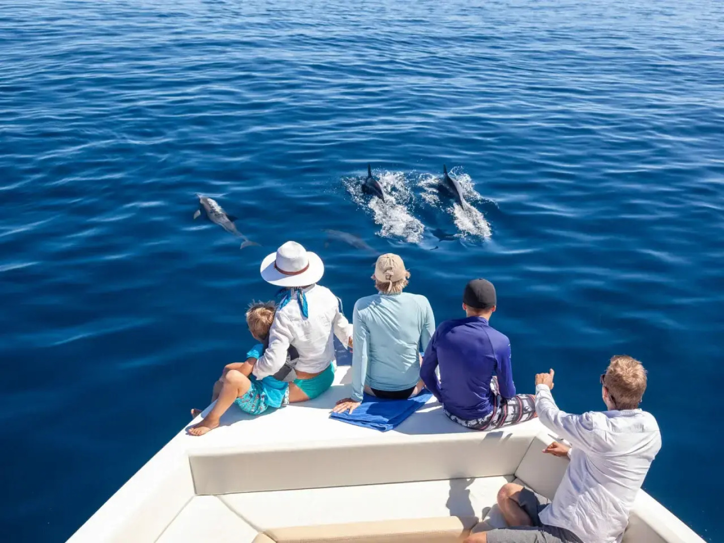 Alphonse Island Resort