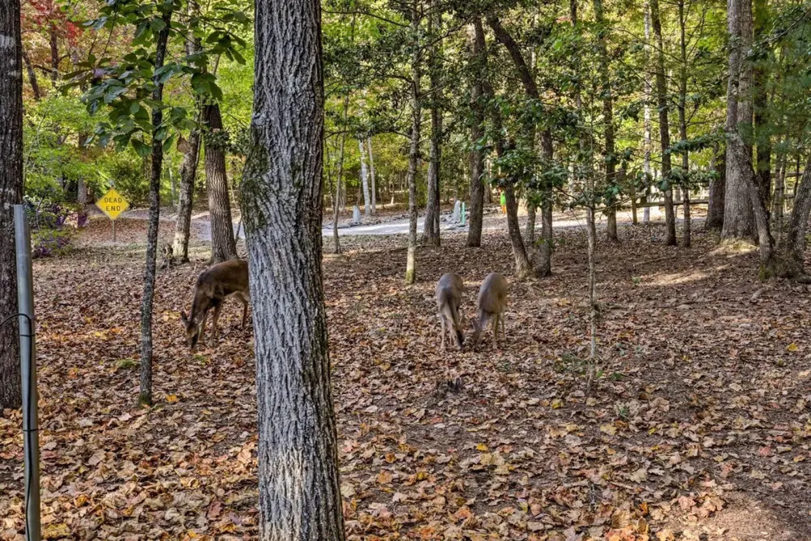 Blairsville Cabin w/ Private Hot Tub!