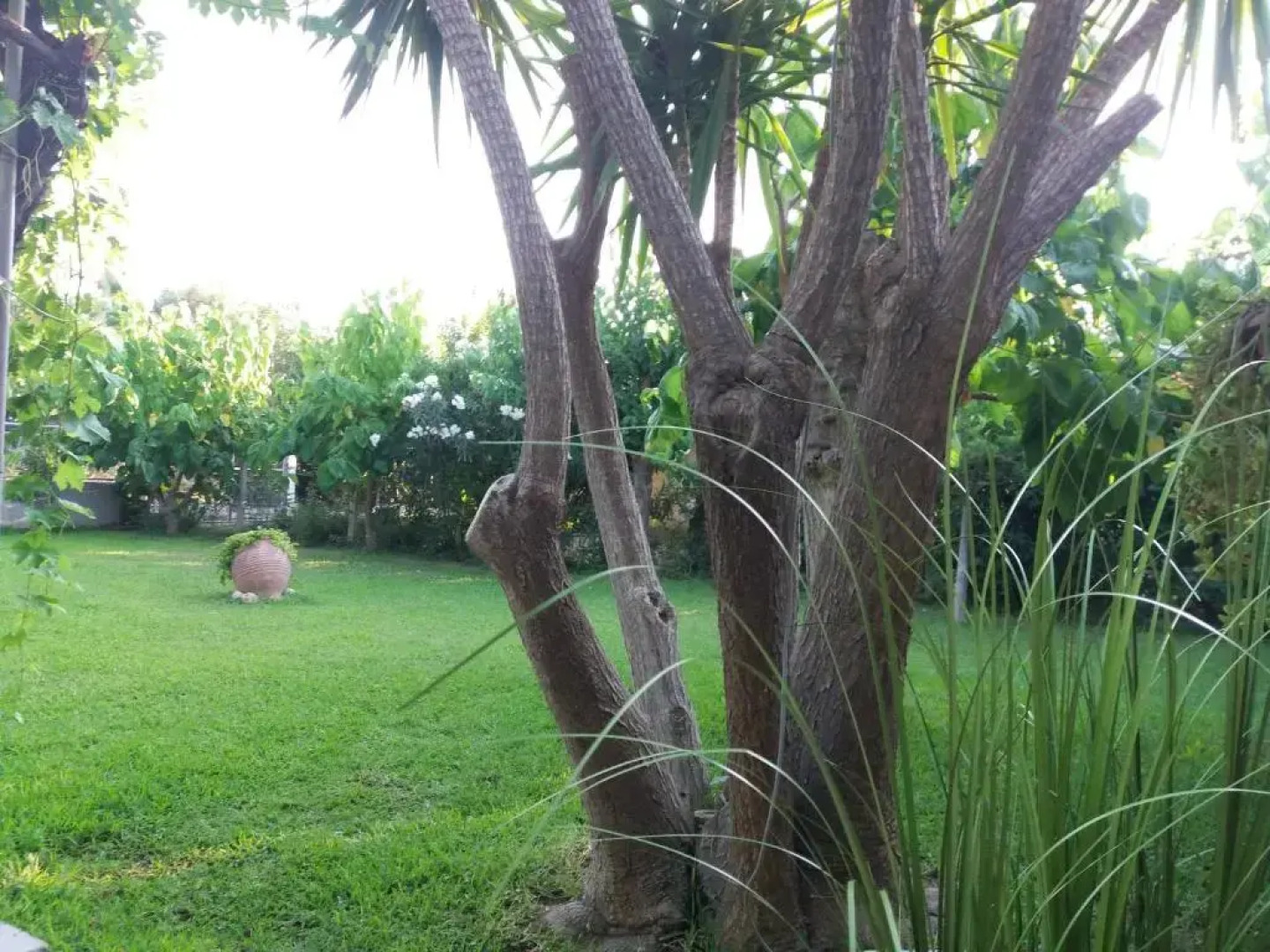 Beach House for up to 9 people near Olympia