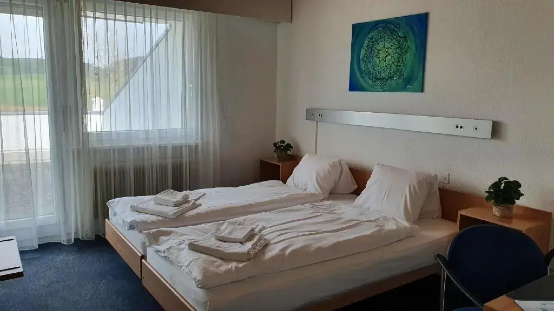 Erlebnisland Grizzlybär