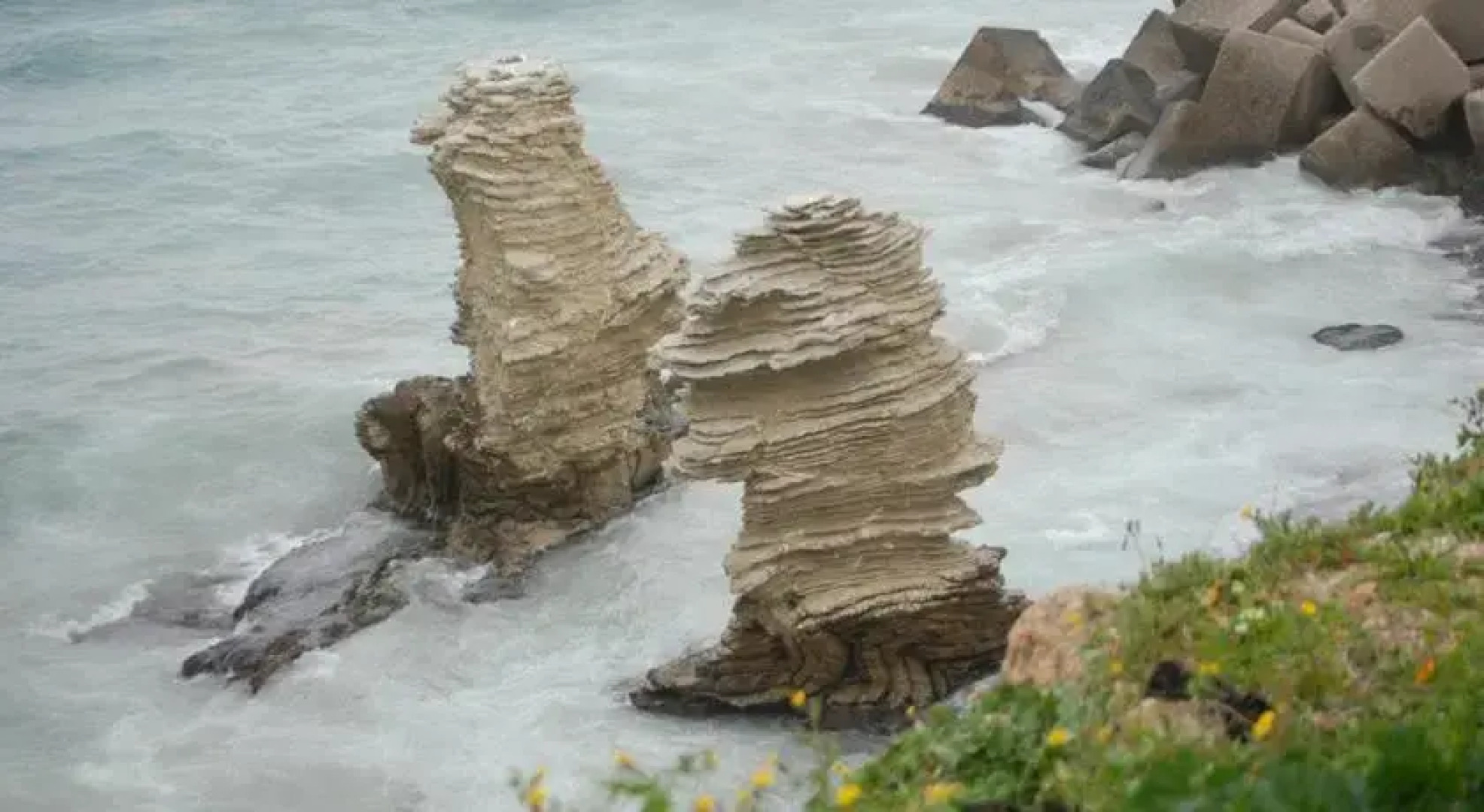 La Casa dellOleandro