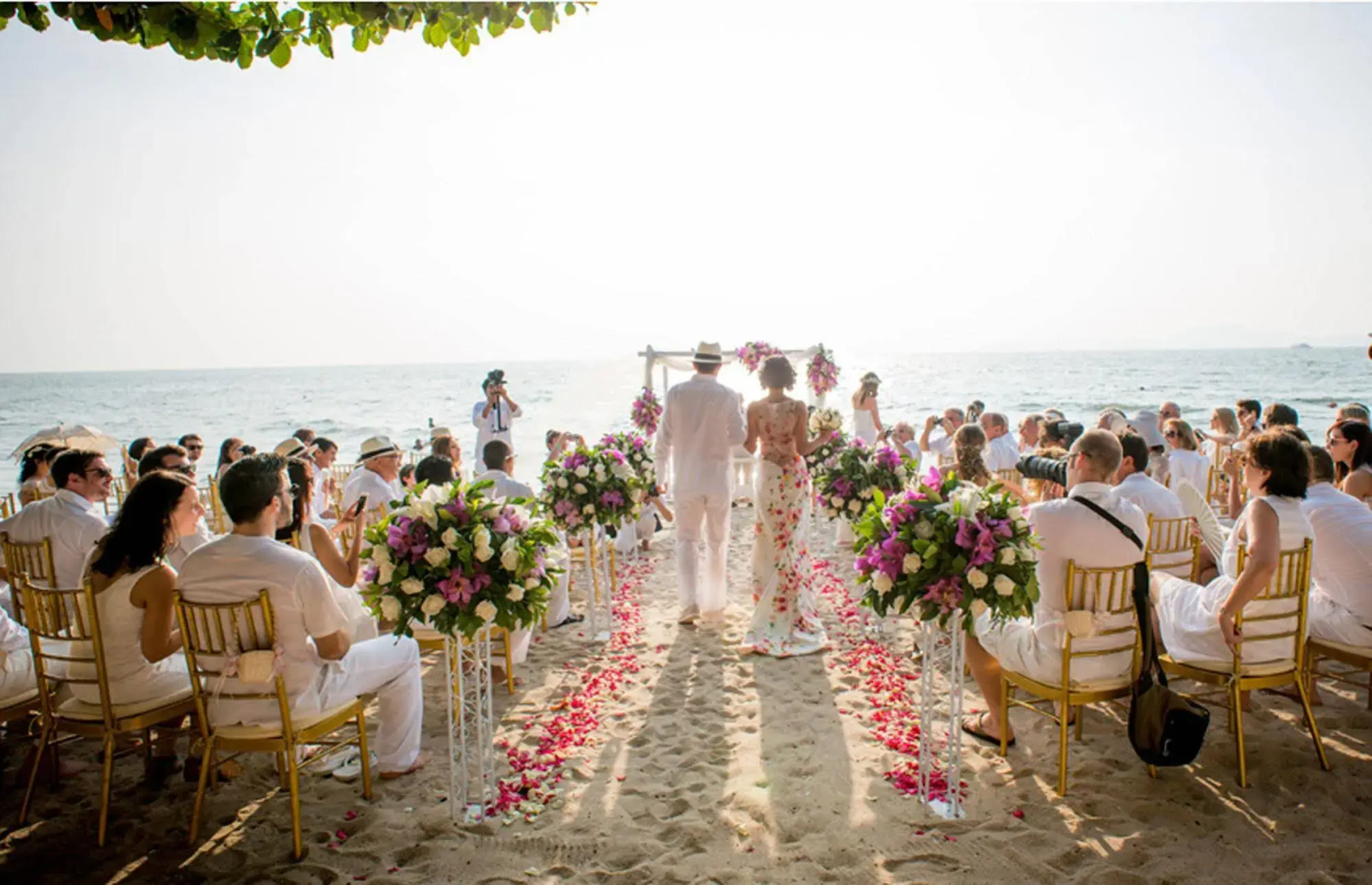 Birds and Bees Resort