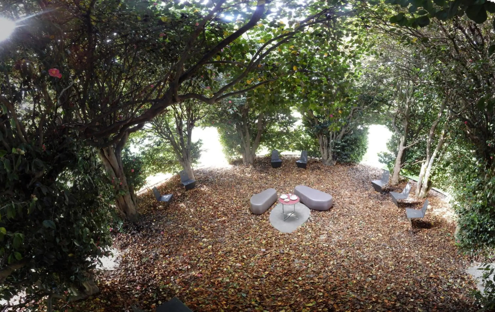 Quinta das Lavandeiras - Caldas de Vizela