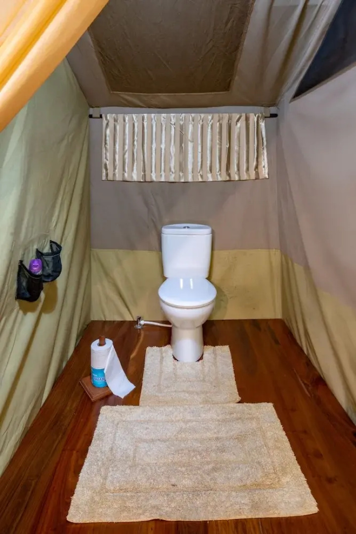 Ngorongoro Lions Paw