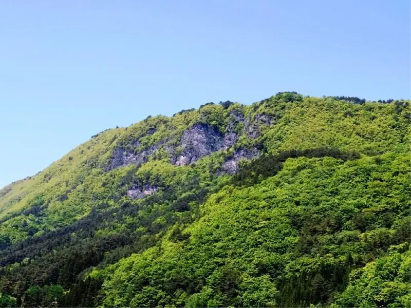 Hotel Ryusendo Aizan