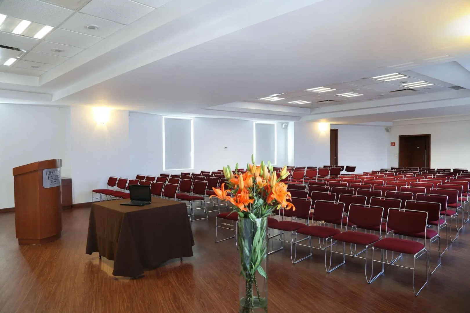 Ejecutivo Express Guadalajara Providencia - Av México