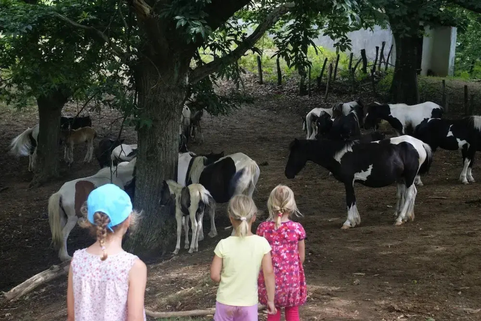 Appartement Artzamendi au BaskoParadis