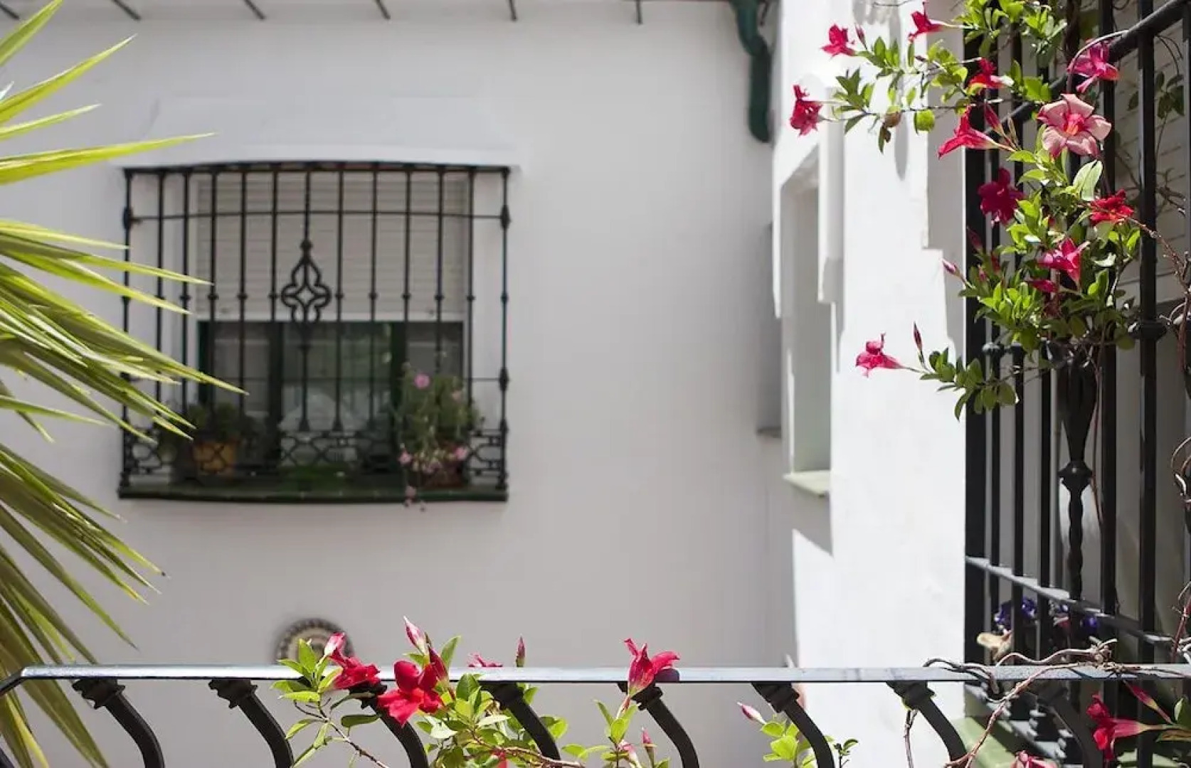 Apartamentos Rosamarina