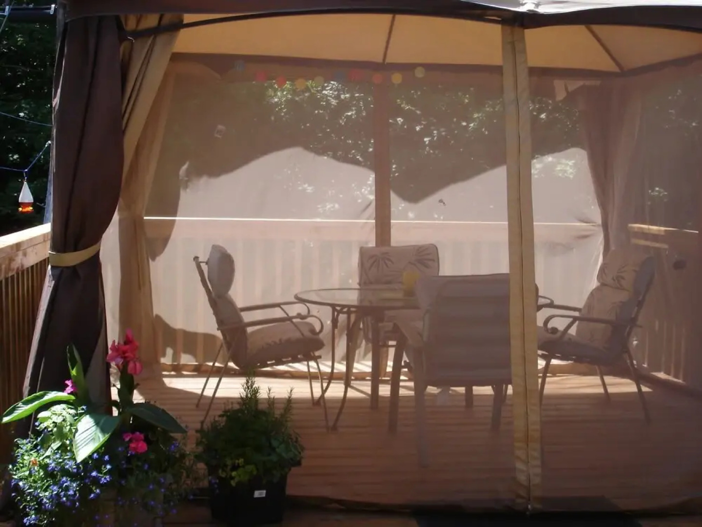 Elevate Rooms Chickadee Lodge