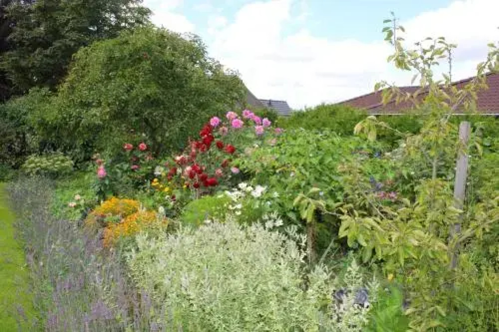 Svendborg Rooms & Apartments