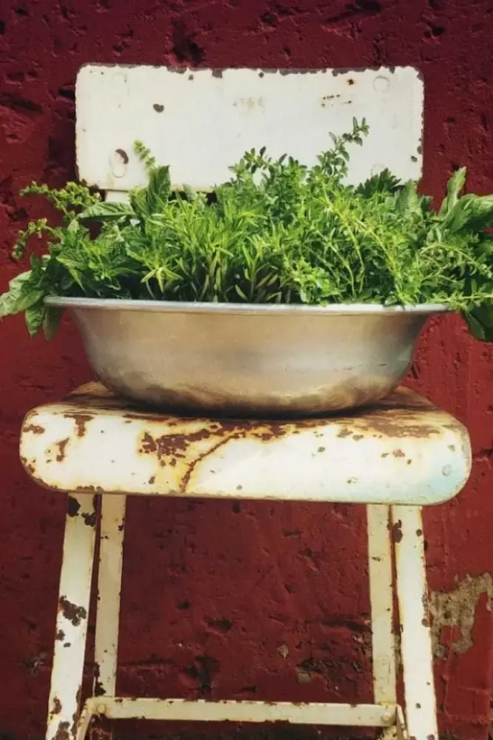 Homestead Guesthouse and Coffee Shoppe