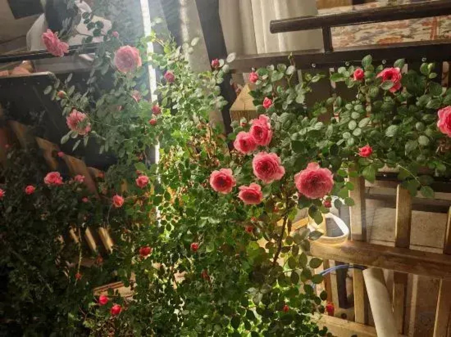 Turks Yan Geer Homestay