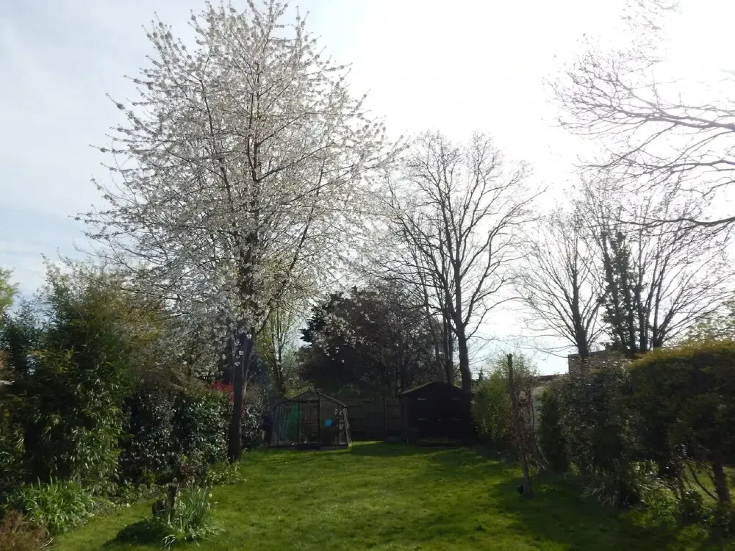 Woodland Park Residence