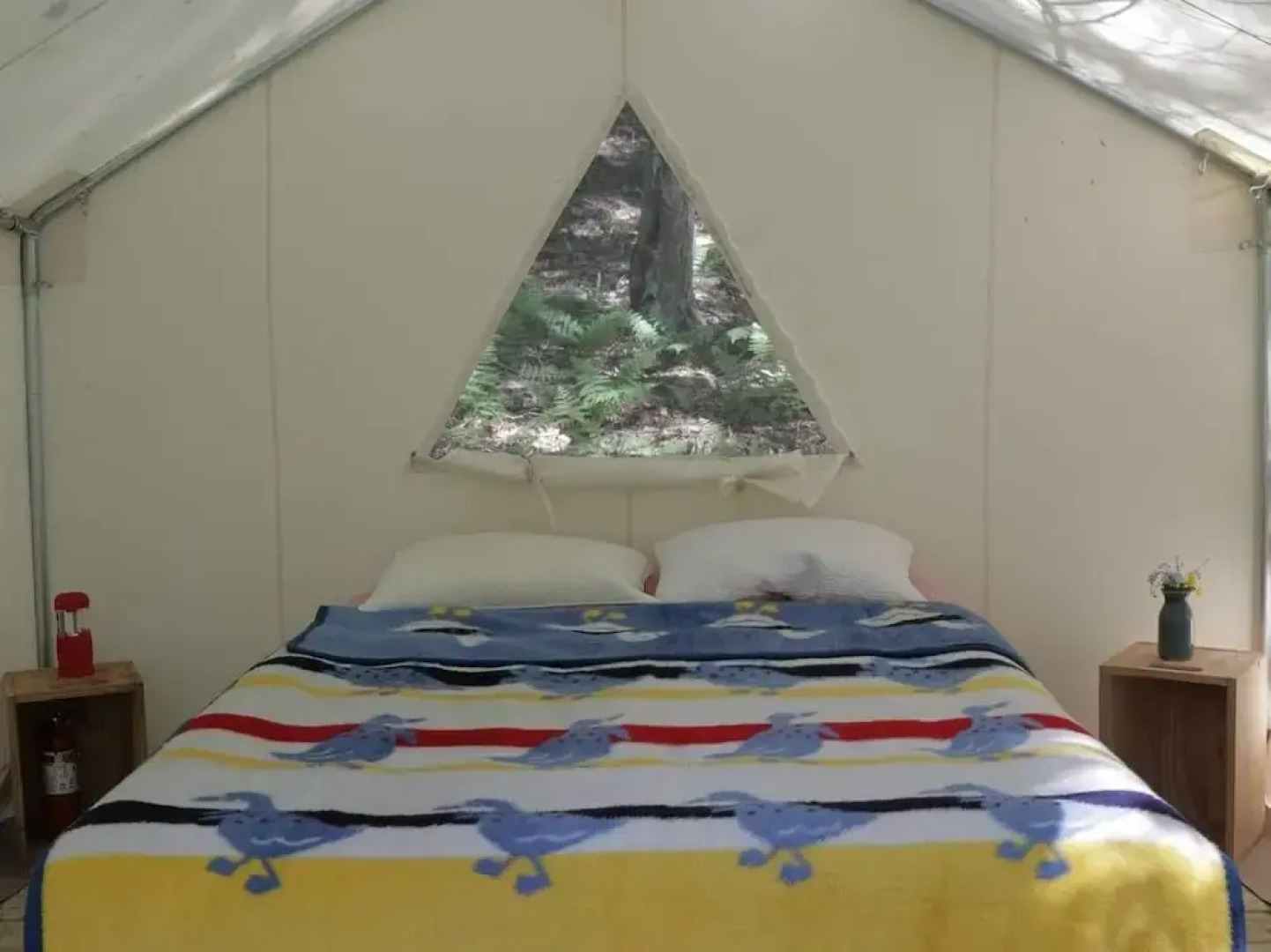 Tentrr - Birdwatcher