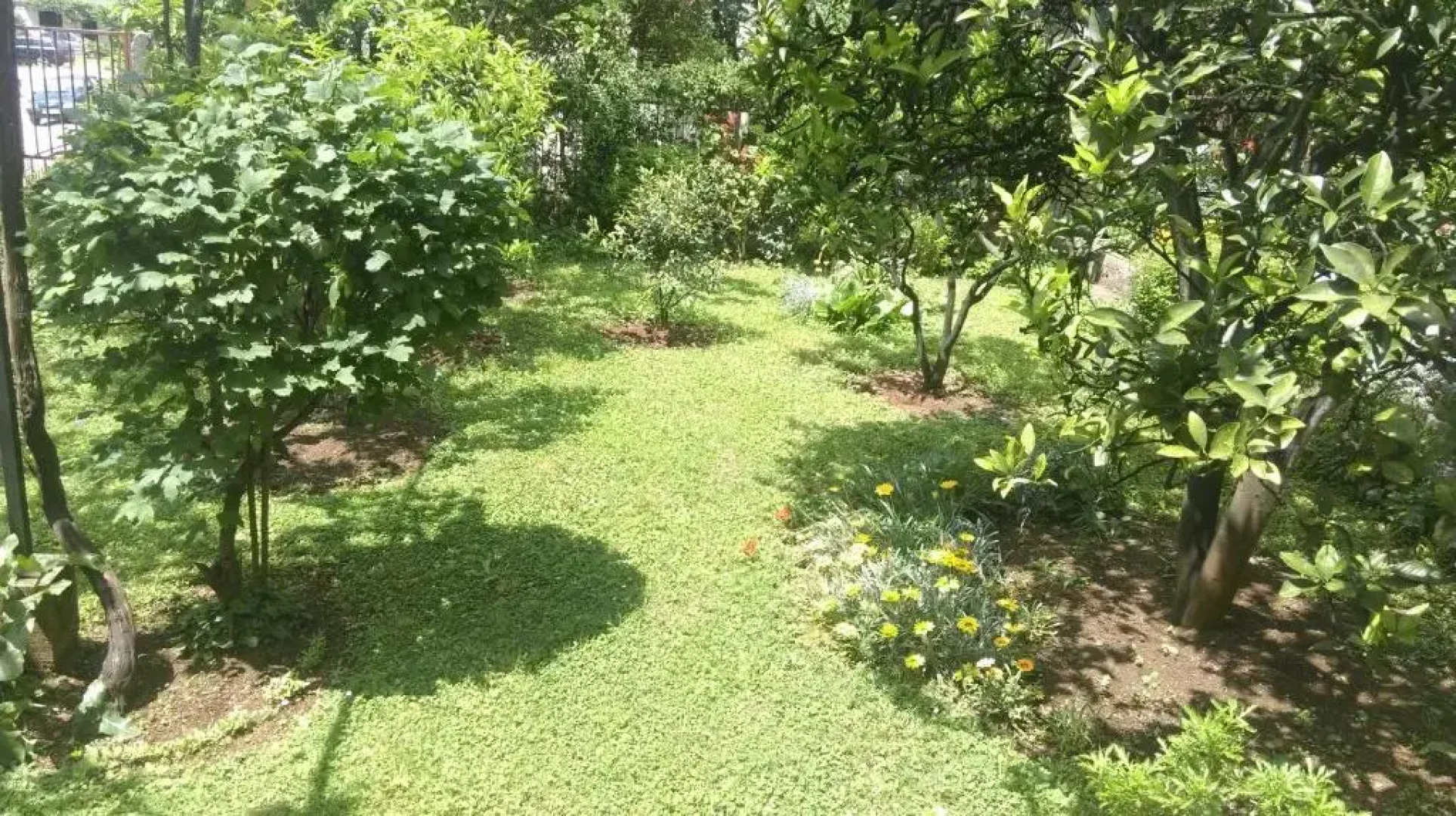 Apartment Ruzica Krstic