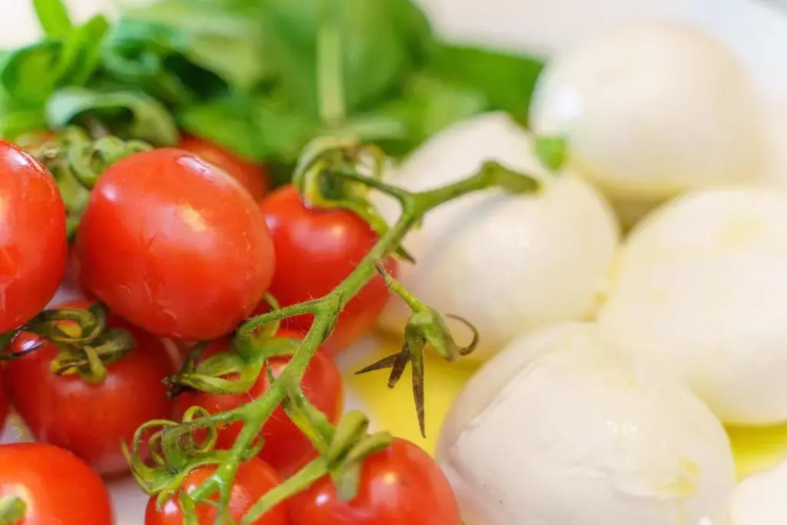 Fattoria di Piantravigne Villa Storica del 600