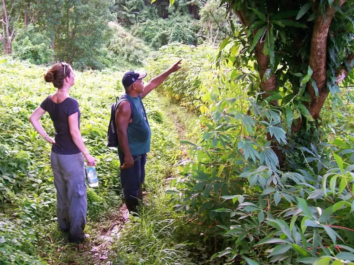 Matava - Fiji...Untouched