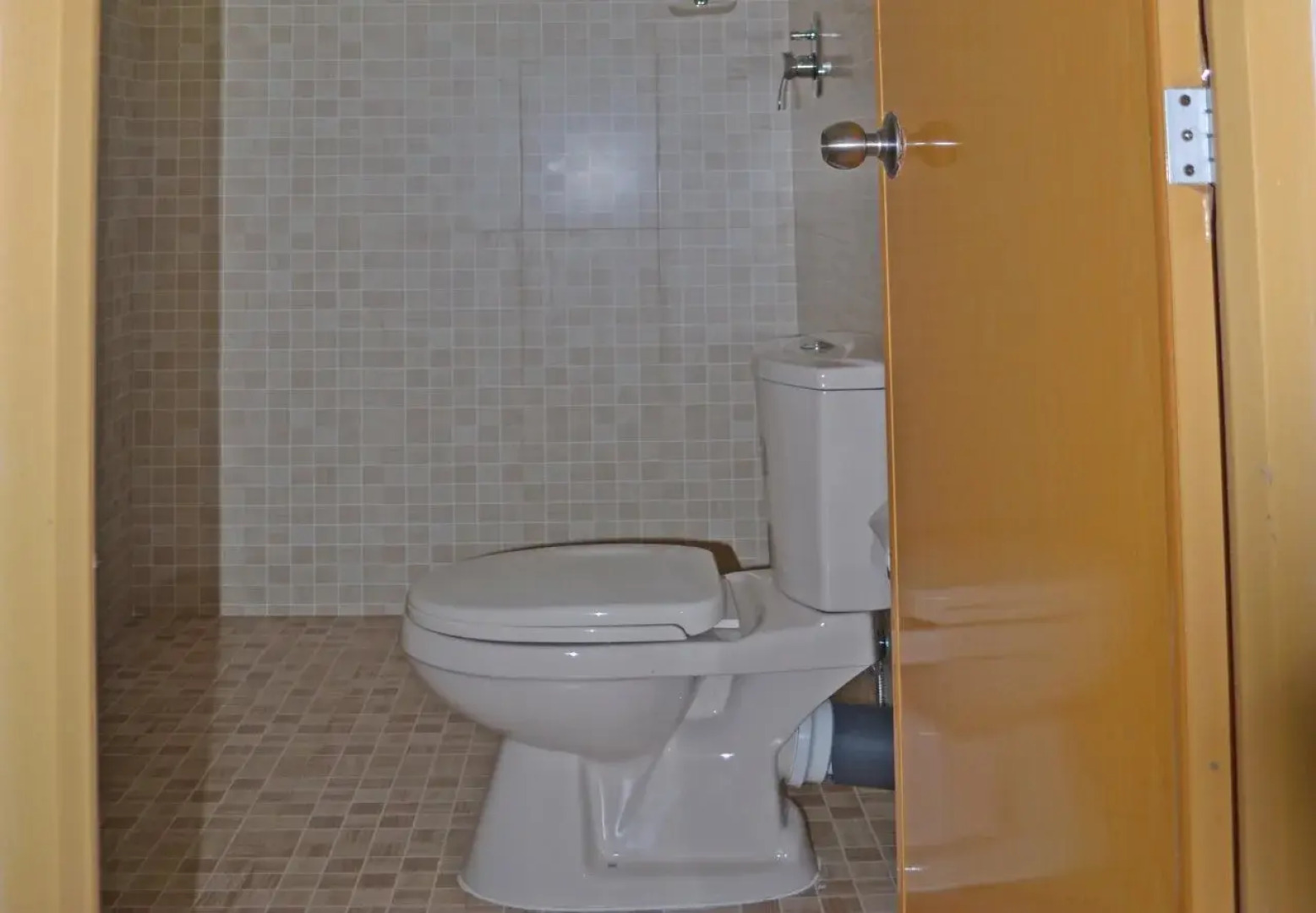 Palitha Guesthouse Hotel Dandelion