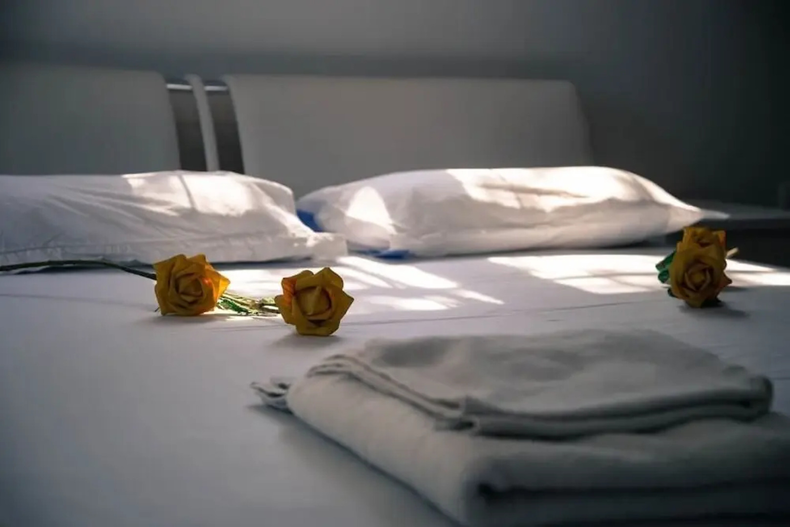 Aias Luxury Flat - Perfect Location