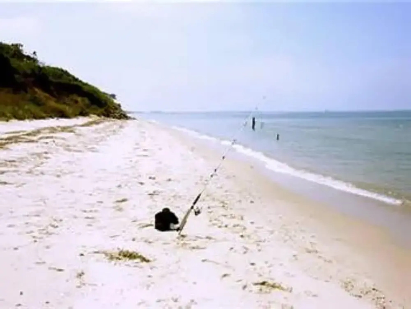 The Baywood Bed & Breakfast