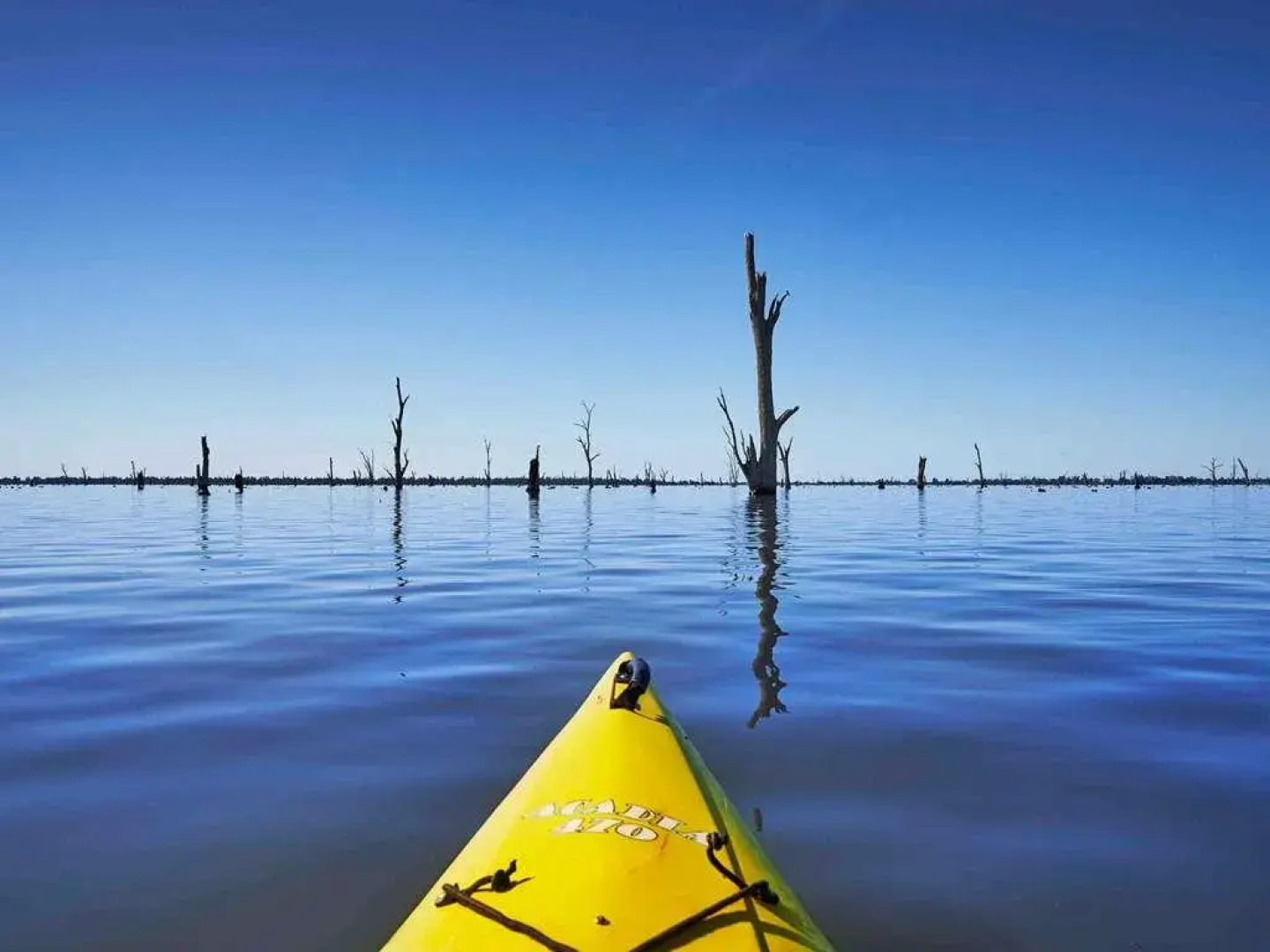 The Sebel Yarrawonga Silverwoods