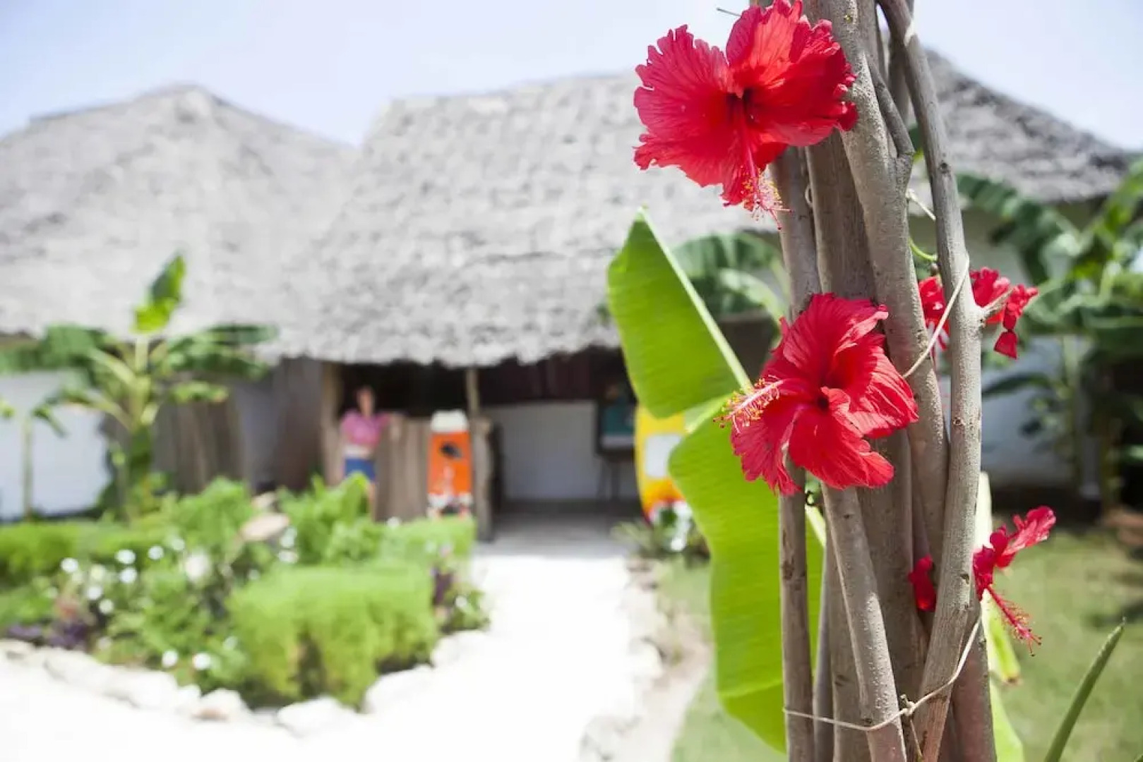 Surfescape Village Zanzibar