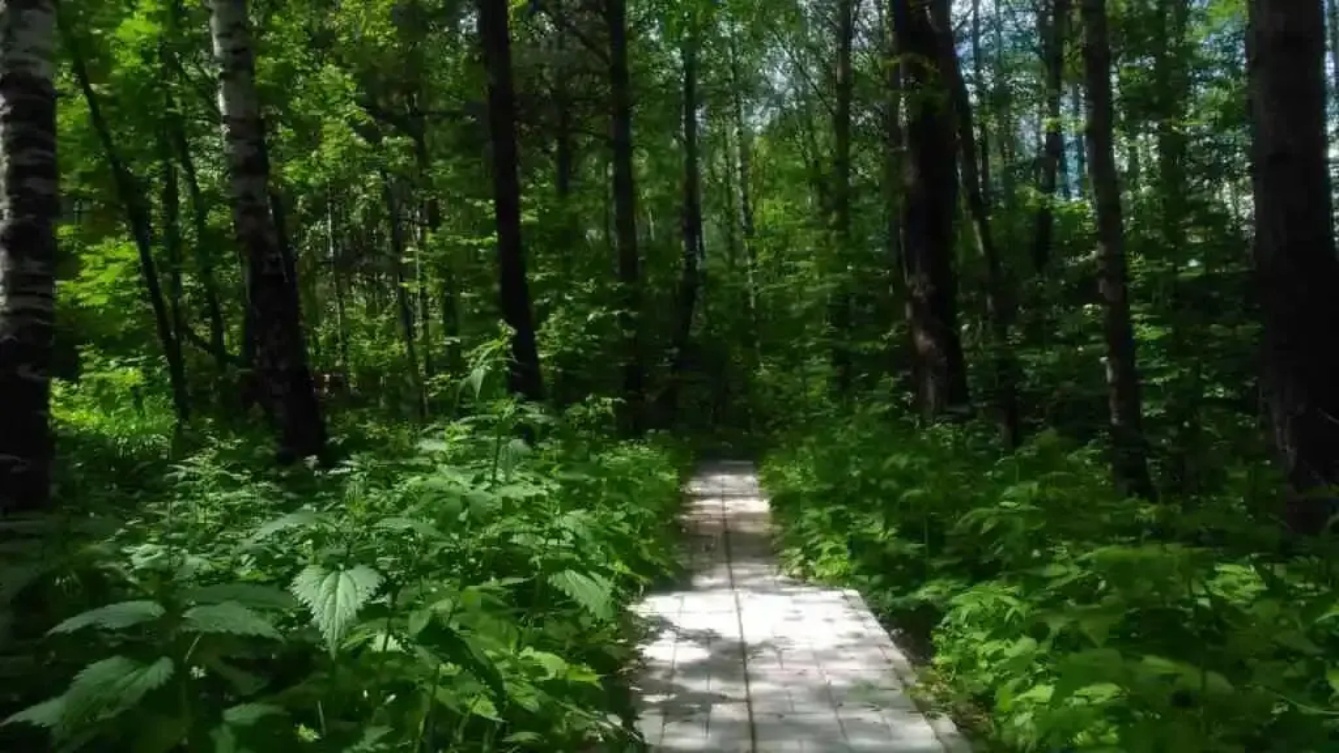 Guest House Sosnovaya Alleya