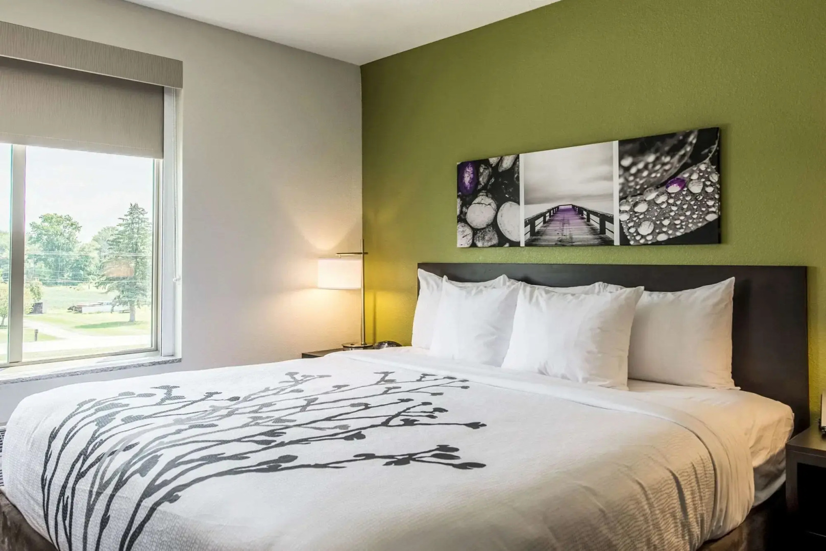 Sleep Inn & Suites