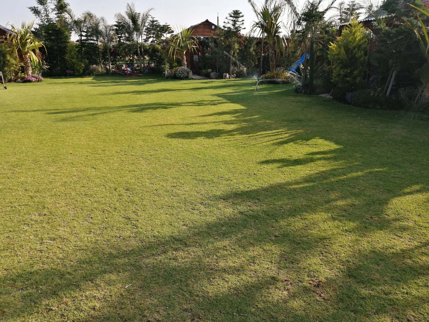 Cabañas la finca 2