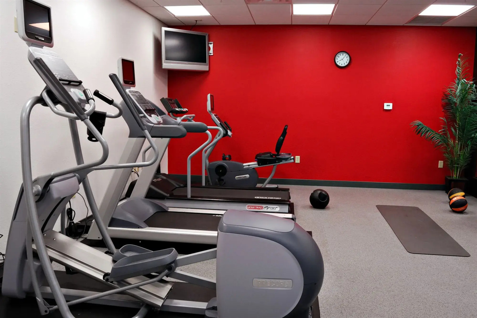 Hilton Garden Inn Tampa Northwest/Oldsmar