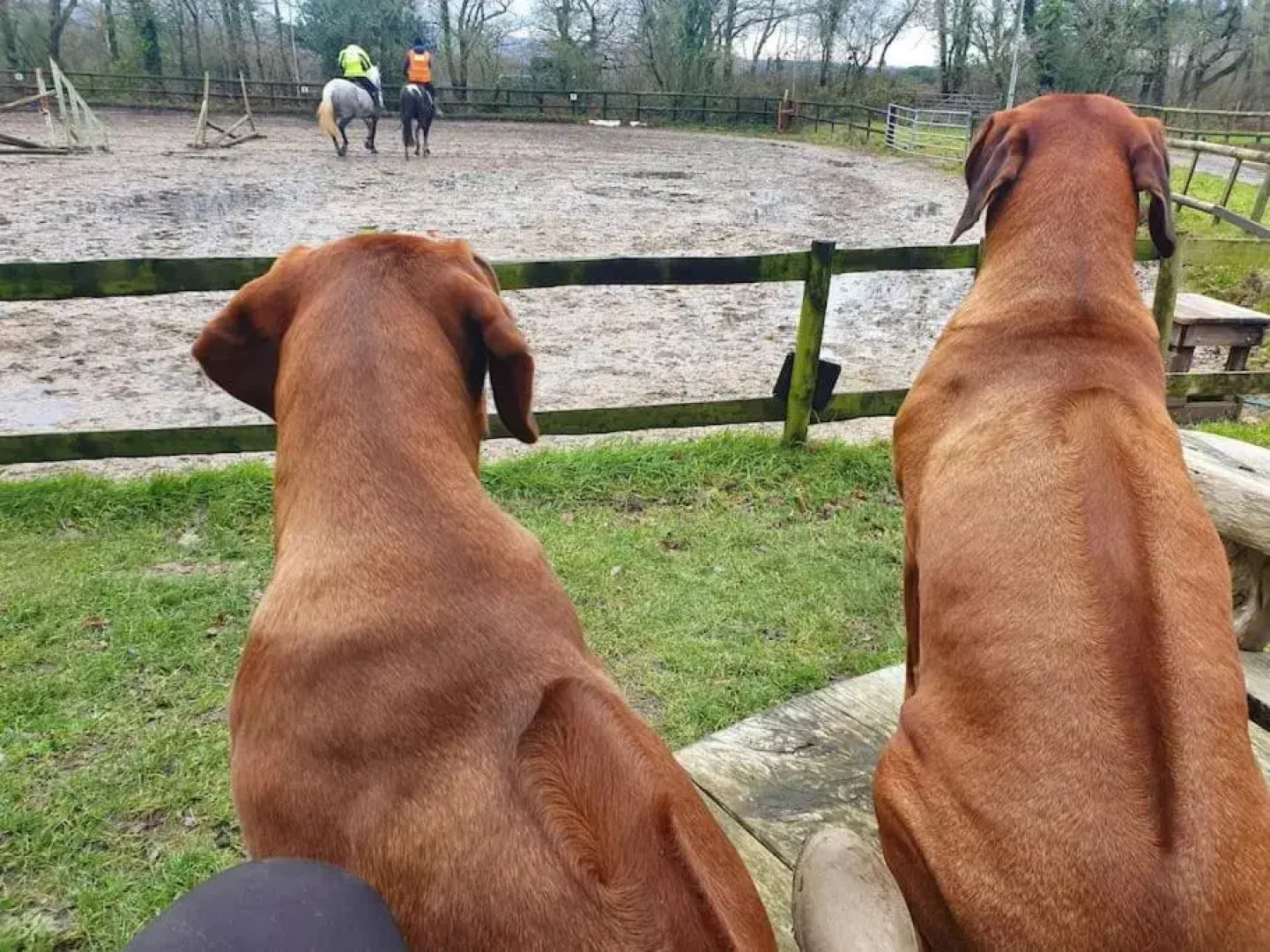 Self Catering Apartment, Jurassic Coast/Dorset